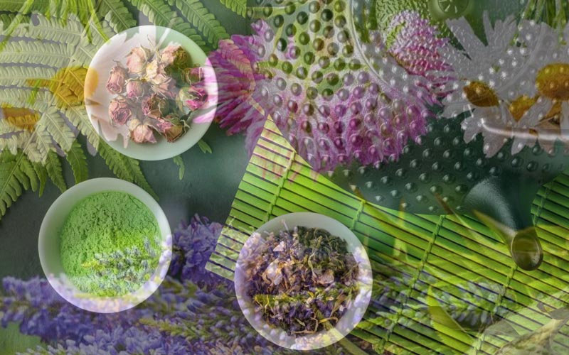 efedra-erboristeria-tisane