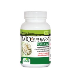 MICOTHERAPY HERICIUM 90 CPS